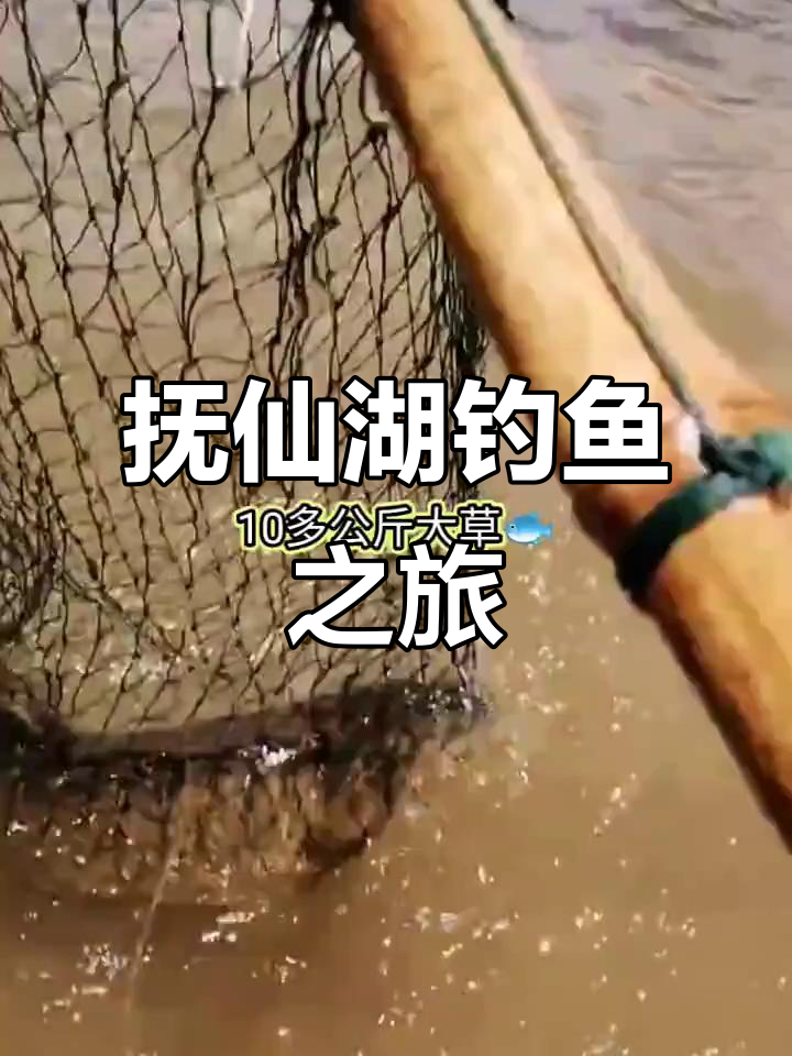 抚仙湖钓鱼大挑战,野钓巨型鱼群!