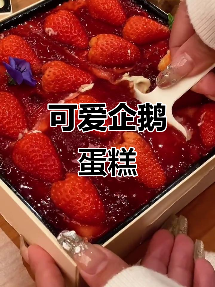 企鹅造型蛋糕,水果满满,奶油细腻,超受女生喜爱!