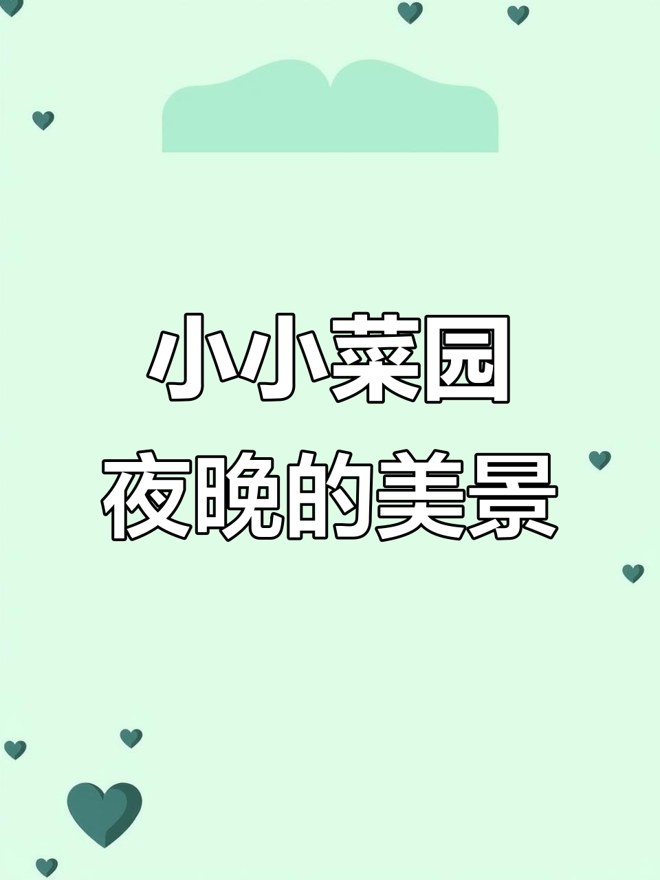 夜幕下的菜园美景,纯天然绿色蔬菜的收获与心境