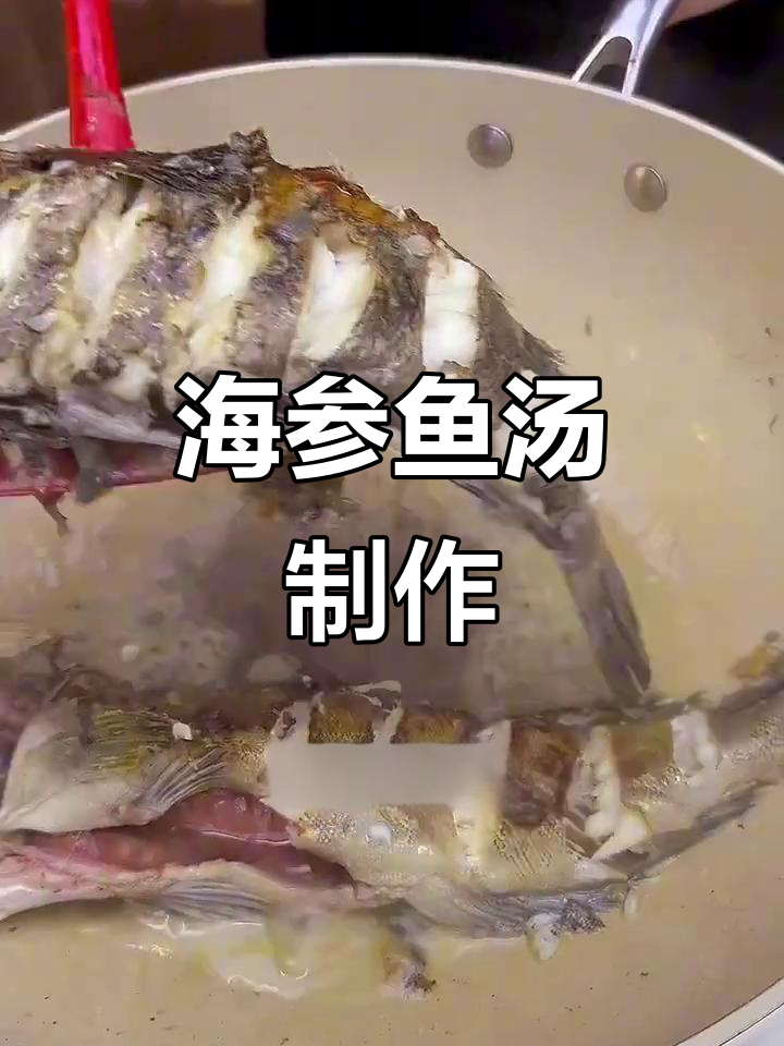 大连海参鱼汤做法，黑黄鱼肉鲜美无腥味