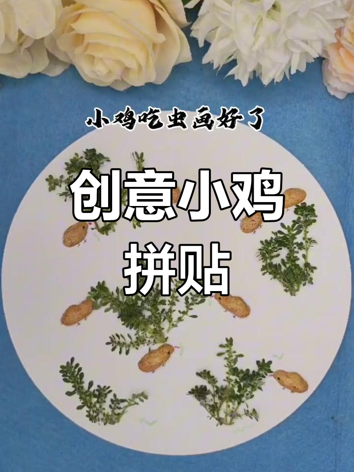 用小草和花生壳,做出萌萌的小鸡吃虫,亲子互动超有趣!