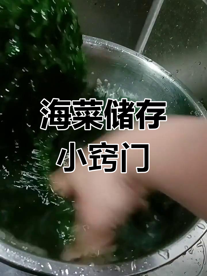 如何正确保存海菜,冷冻技巧大公开