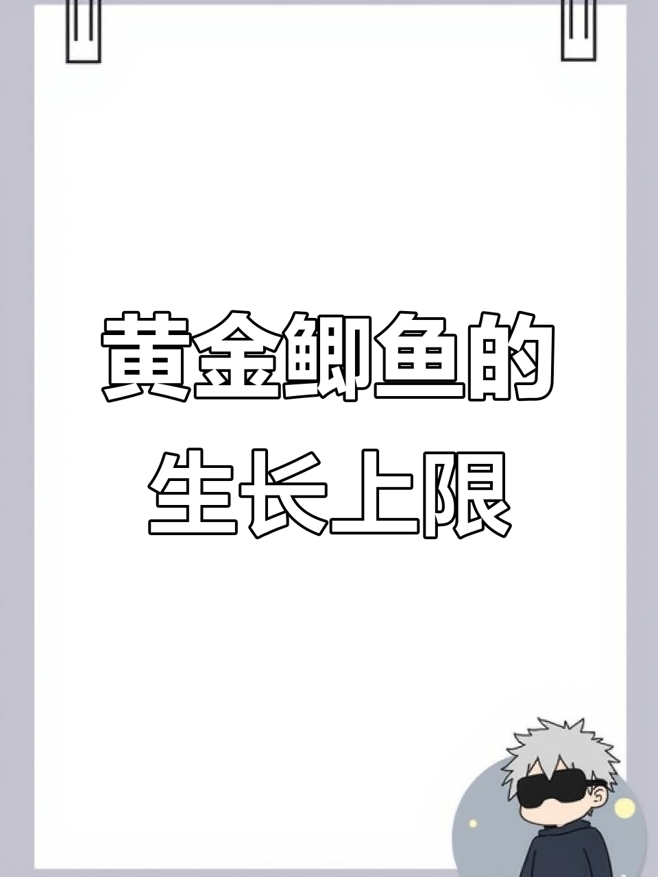 黄金鲫鱼能长到多大?揭秘成长极限