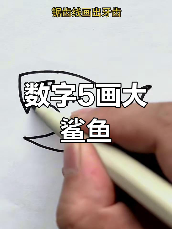 用数字5画可爱大鲨鱼,简单又好玩