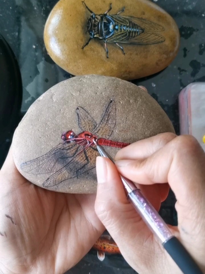 蜻蜓在风水学中有飞龙的别称它本身是一种益虫寓意十分吉祥象