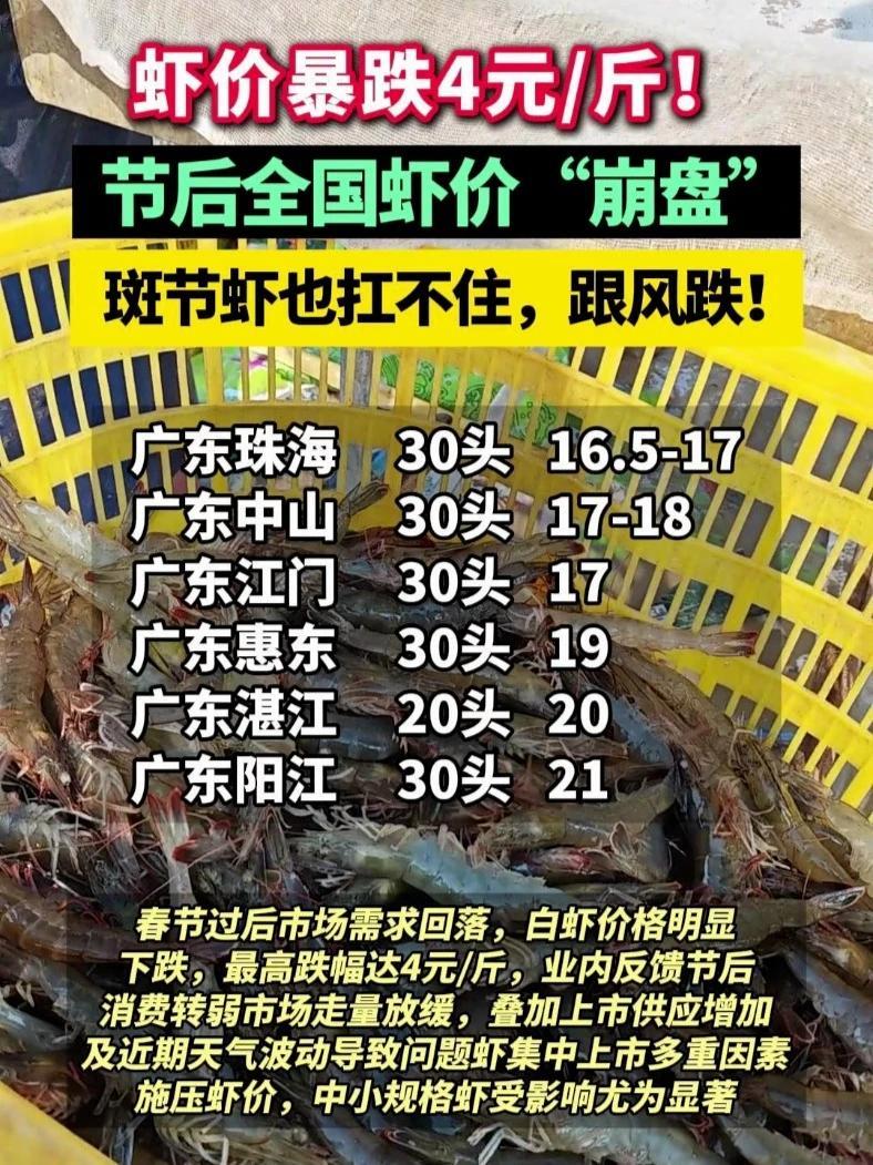 虾价暴跌4元/斤!节后全国虾价“崩盘”,斑节虾也扛不住,跟风跌!#虾价 #南美白对虾 #对