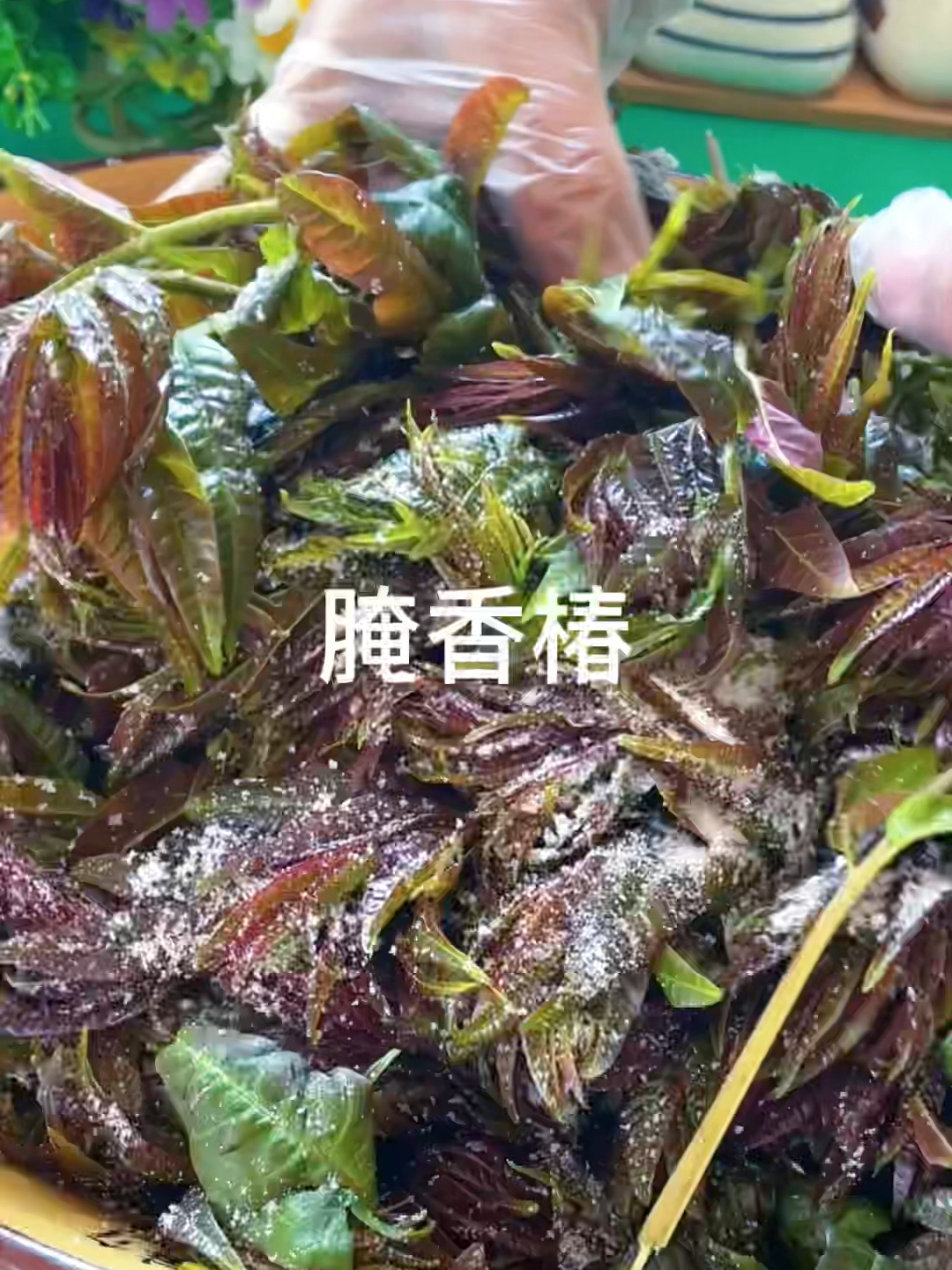 腌制香椿用这个好方法,吃起来跟新鲜的一样