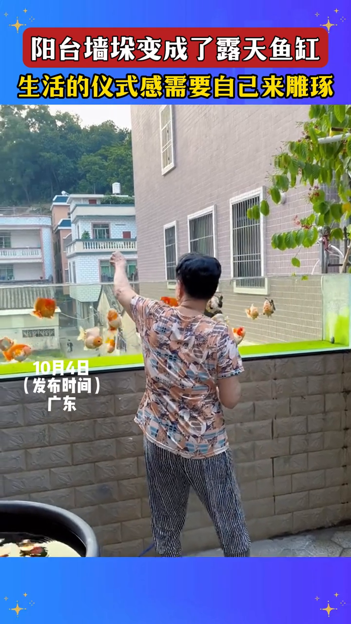 阳台墙垛变成了露天鱼缸,生活的仪式感需要自己来雕琢