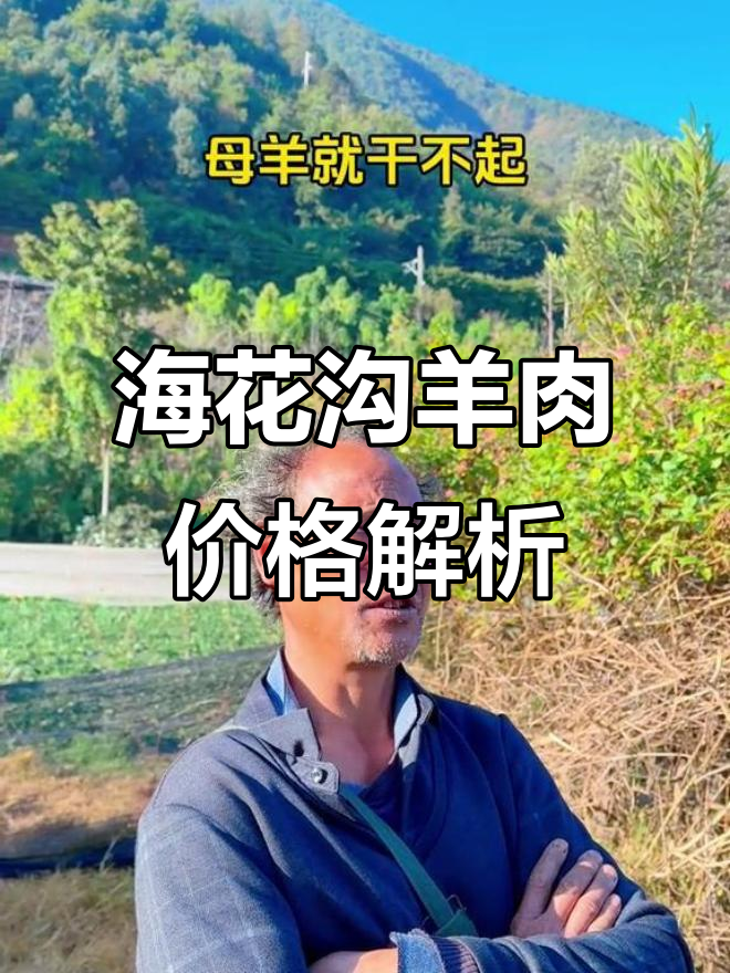 海花沟羊的价格与品种揭秘:从四六七块到百元不等