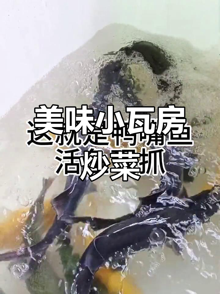 小瓦房的美味炒菜,鸭嘴鱼也能做出家常味道