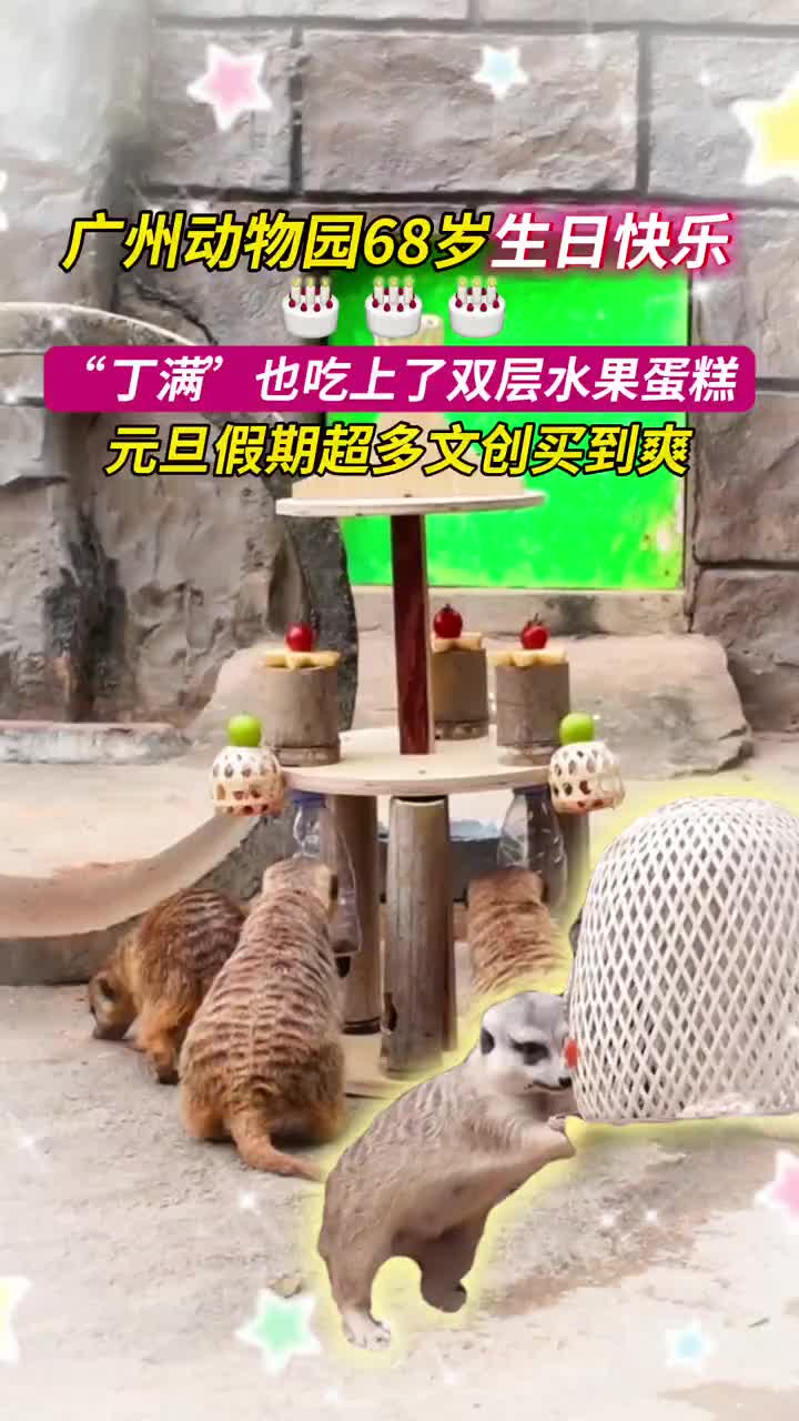 「视频」广州动物园今天(1月1日)过68岁生日啦!生日派对连办三天,小动物每天都能吃上不同