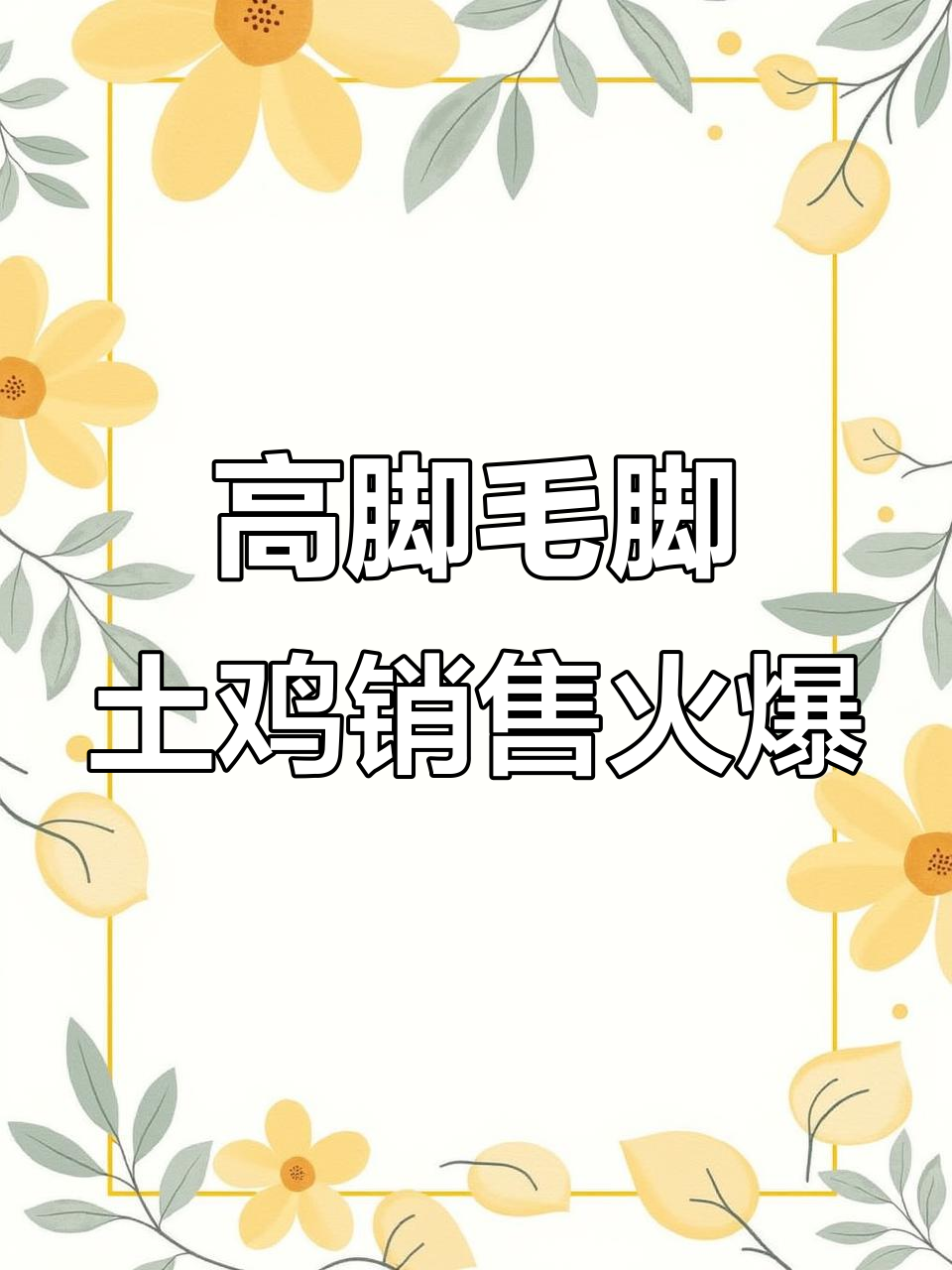 青花土鸡苗热销,高脚毛脚土鸡火爆出货