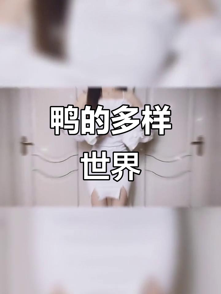 鸭的种类大揭秘:从萌宠到美味,你了解多少?