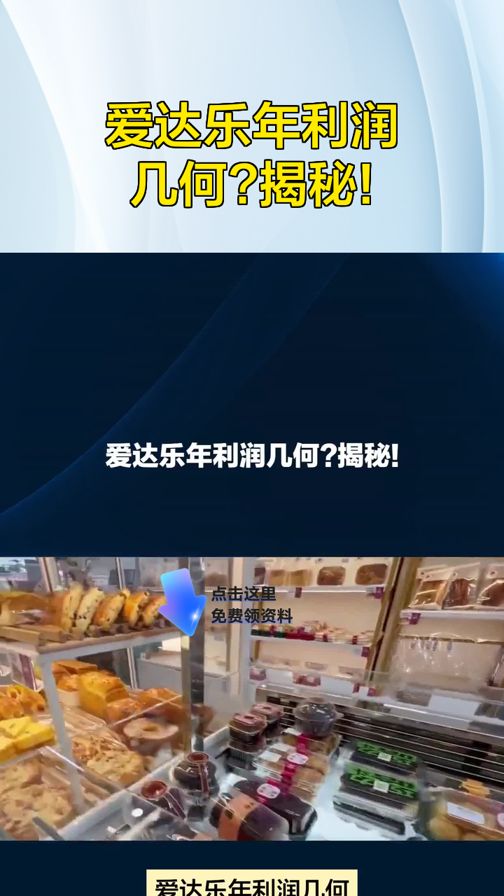 爱达乐年利润几何?揭秘!