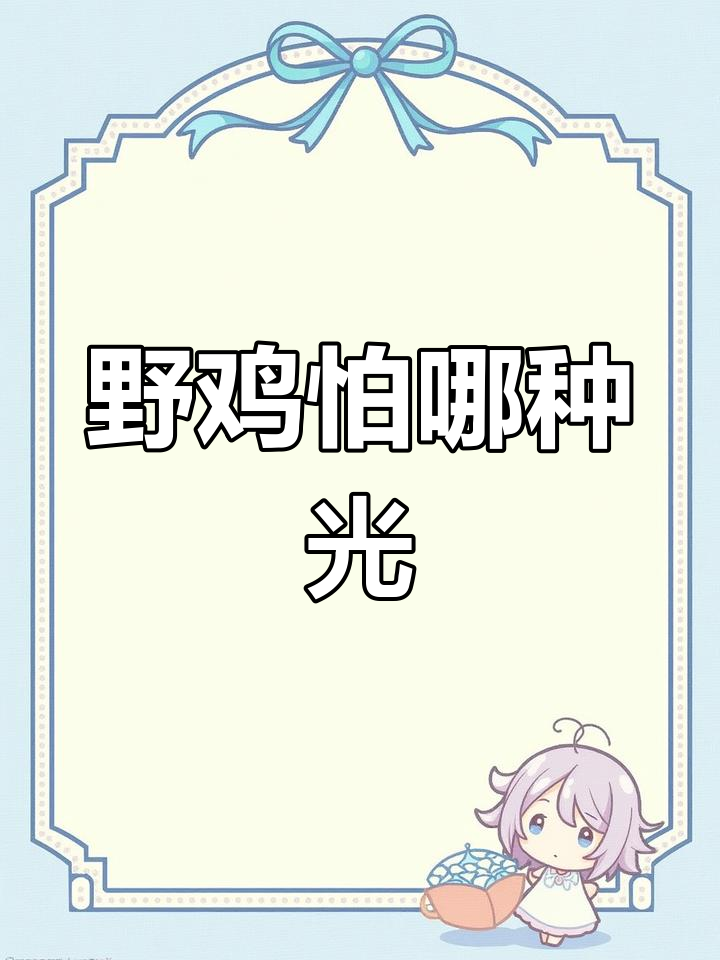 夜里的野鸡怕光吗?强弱光、白黄光的区别大揭秘