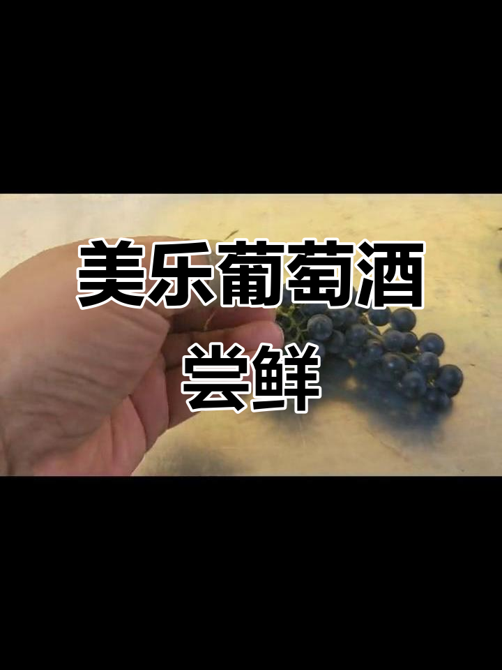 感冒恢复中,带你一起品酒新疆美乐