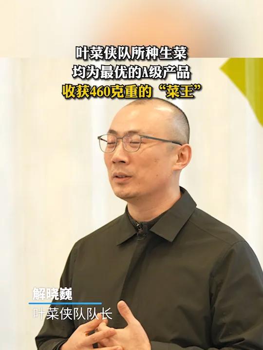 在约42立方米的集装箱里用AI种出300公斤生菜?2024光明多多垂直农业挑战赛圆满收官,