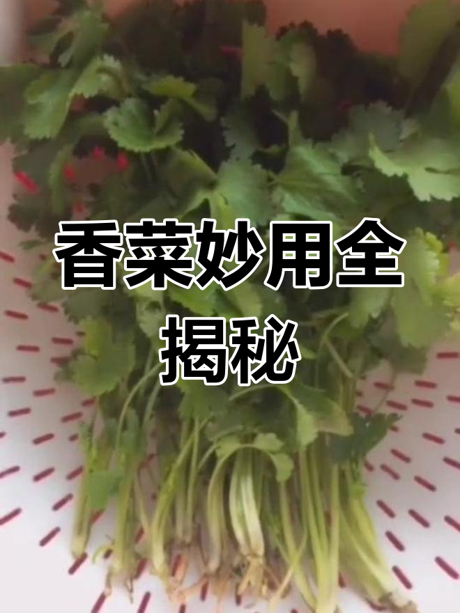 香菜根煮水退烧,洗脸祛斑又减肥