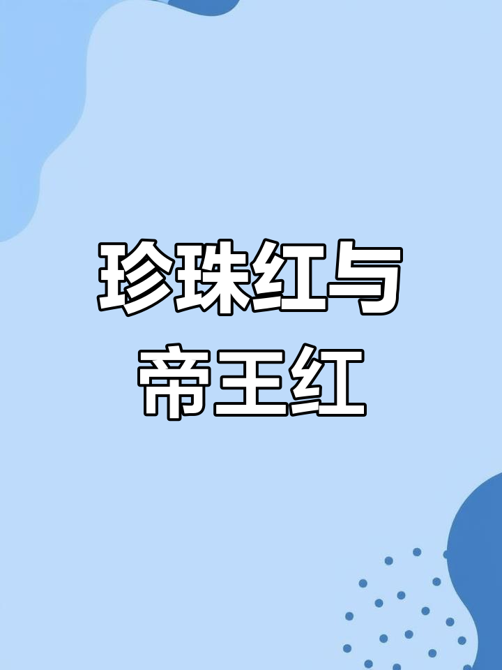 魟鱼种类大揭秘,你知道多少?