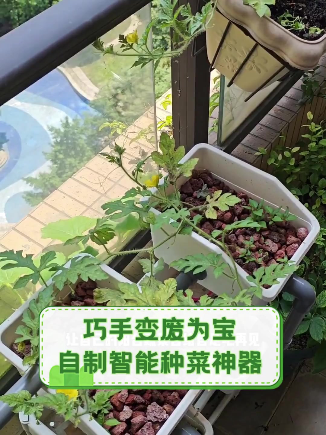 巧手变废为宝,自制智能种菜神器