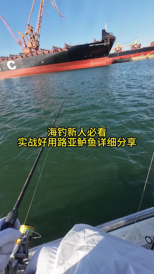 近海船钓路亚鲈鱼实战详细分享
