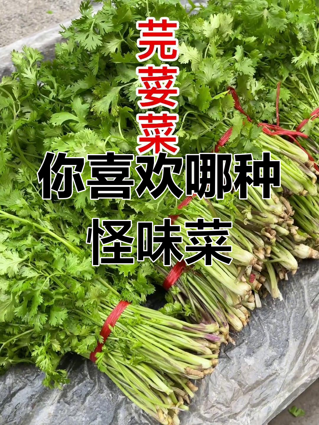 香菜、臭菜还是盐须菜?你尝过吗?