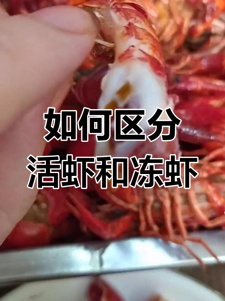 活虾与冻虾的区别,教你如何挑选新鲜小龙虾