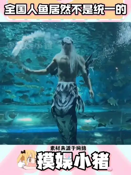人鱼vs胖头鱼
