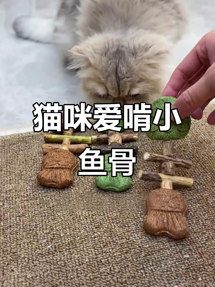 小猫疯狂啃鱼骨头，牙结石轻松刷掉！