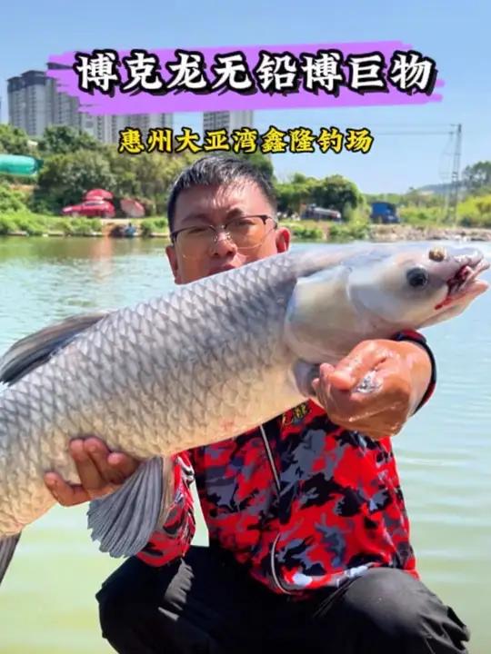 不求狂拉爆护只求一条上岸,黑坑钓青鱼记住这3点上岸跟真不难!