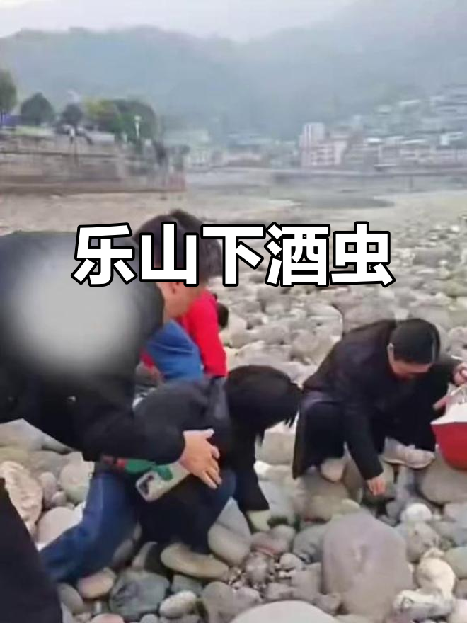 乐山特产下酒菜,竟然是这种虫子!吃了压力全无