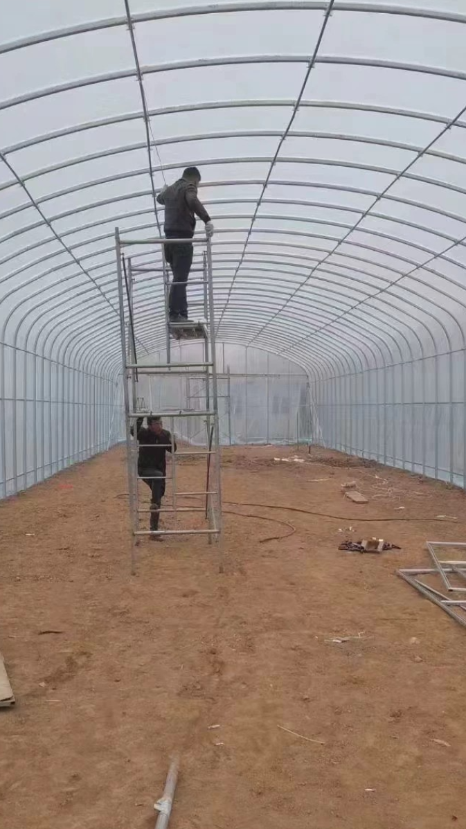 蔬菜种植大棚架子安装好 七道拉杆 供型 两侧放风 大棚