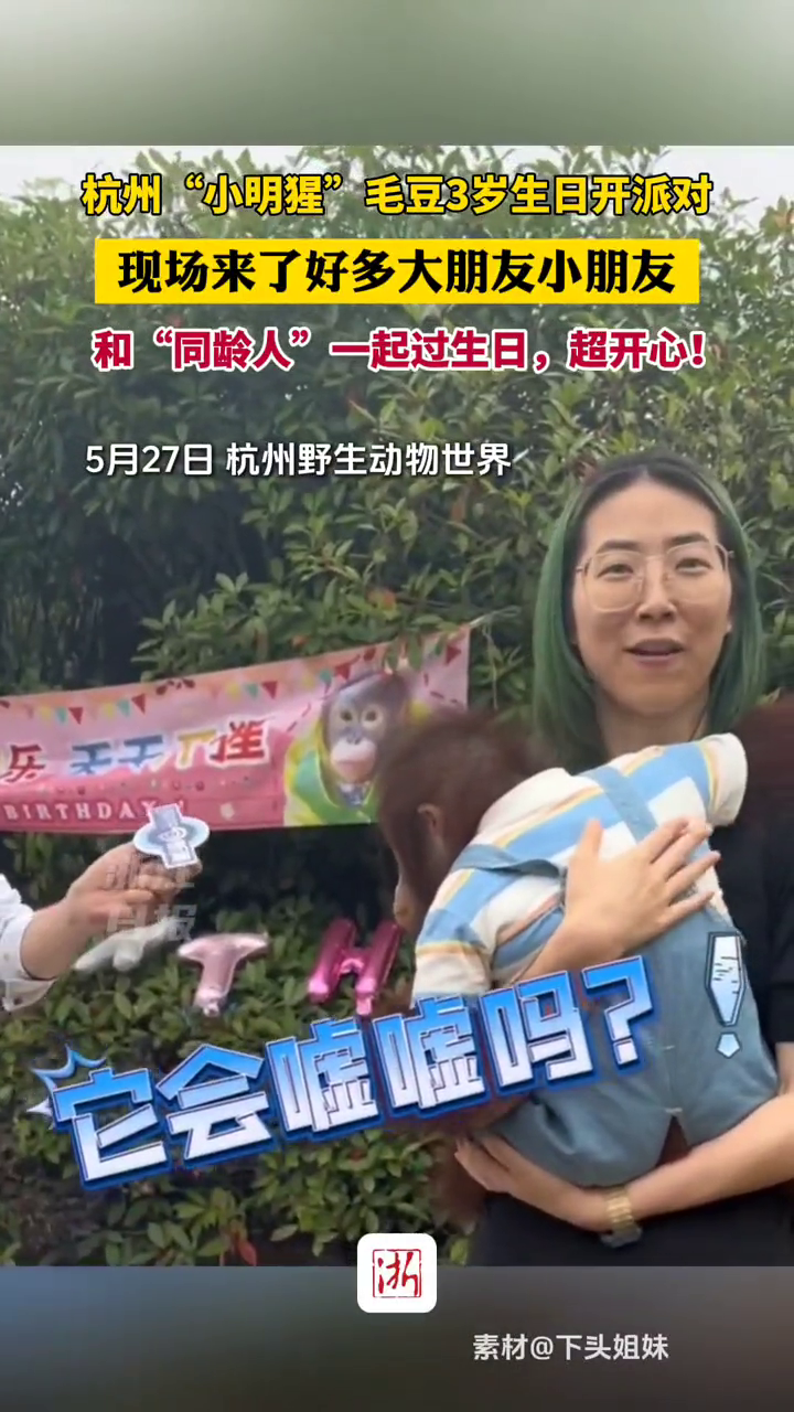 杭州“小明猩”毛豆3岁生日开派对,现场来了好多大朋友小朋友