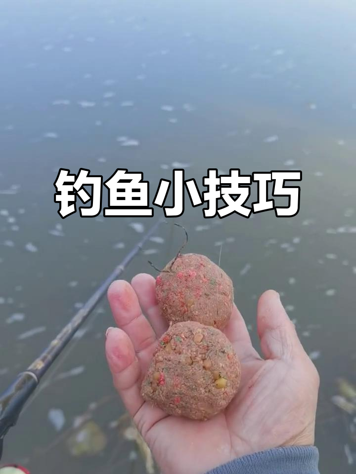 钓鲫鱼用麦粒最有效,小鱼放生,等它们长大再钓