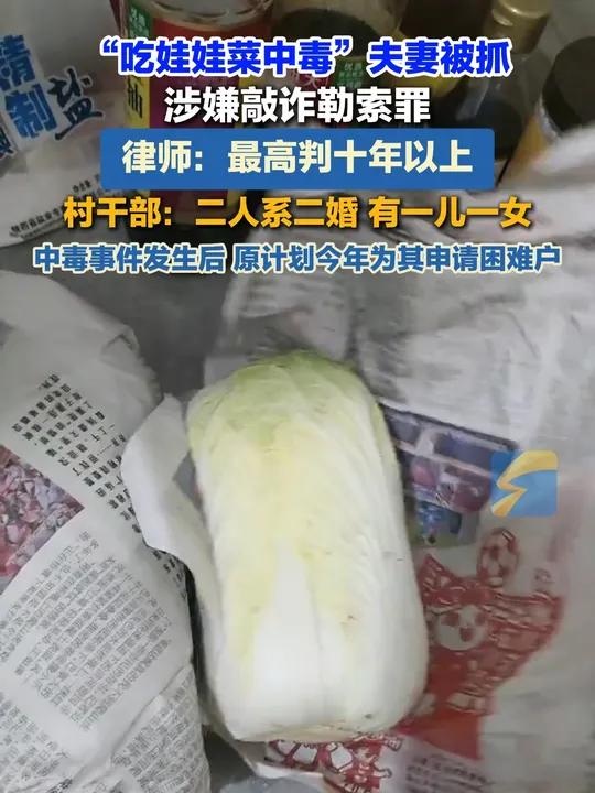网购娃娃菜中毒夫妻因涉嫌敲诈勒索罪,被采取刑事强制措施。另据杨女士丈夫老家村干部表示,陈某