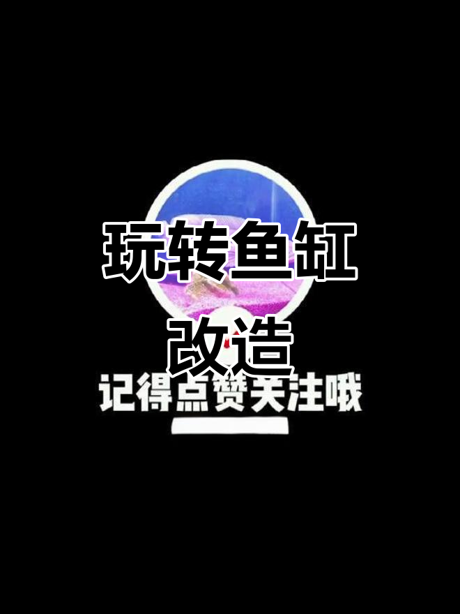 鱼缸大变身,从黑暗到明亮只需这几步