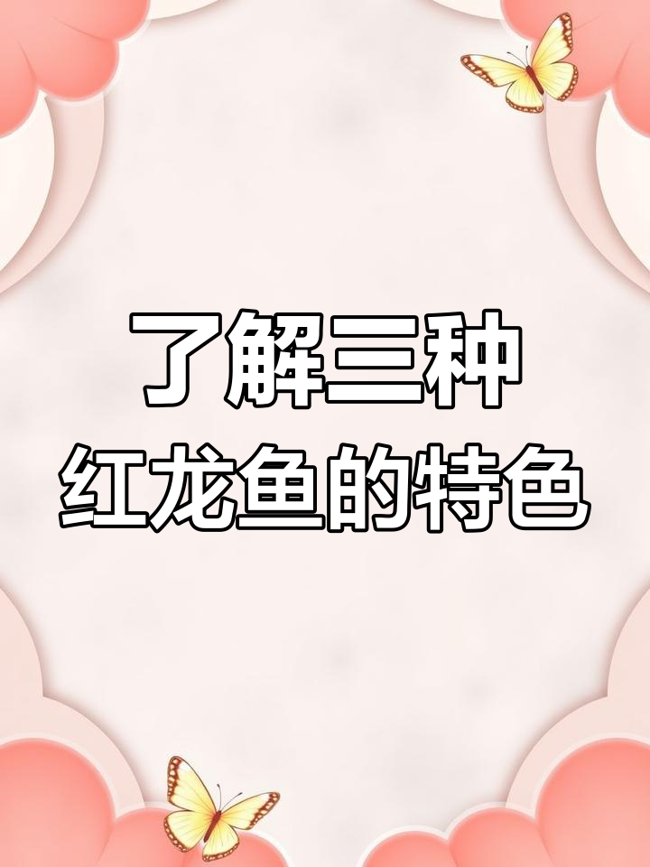 红龙鱼品种大揭秘:辣椒红、血红与大湖红的区别