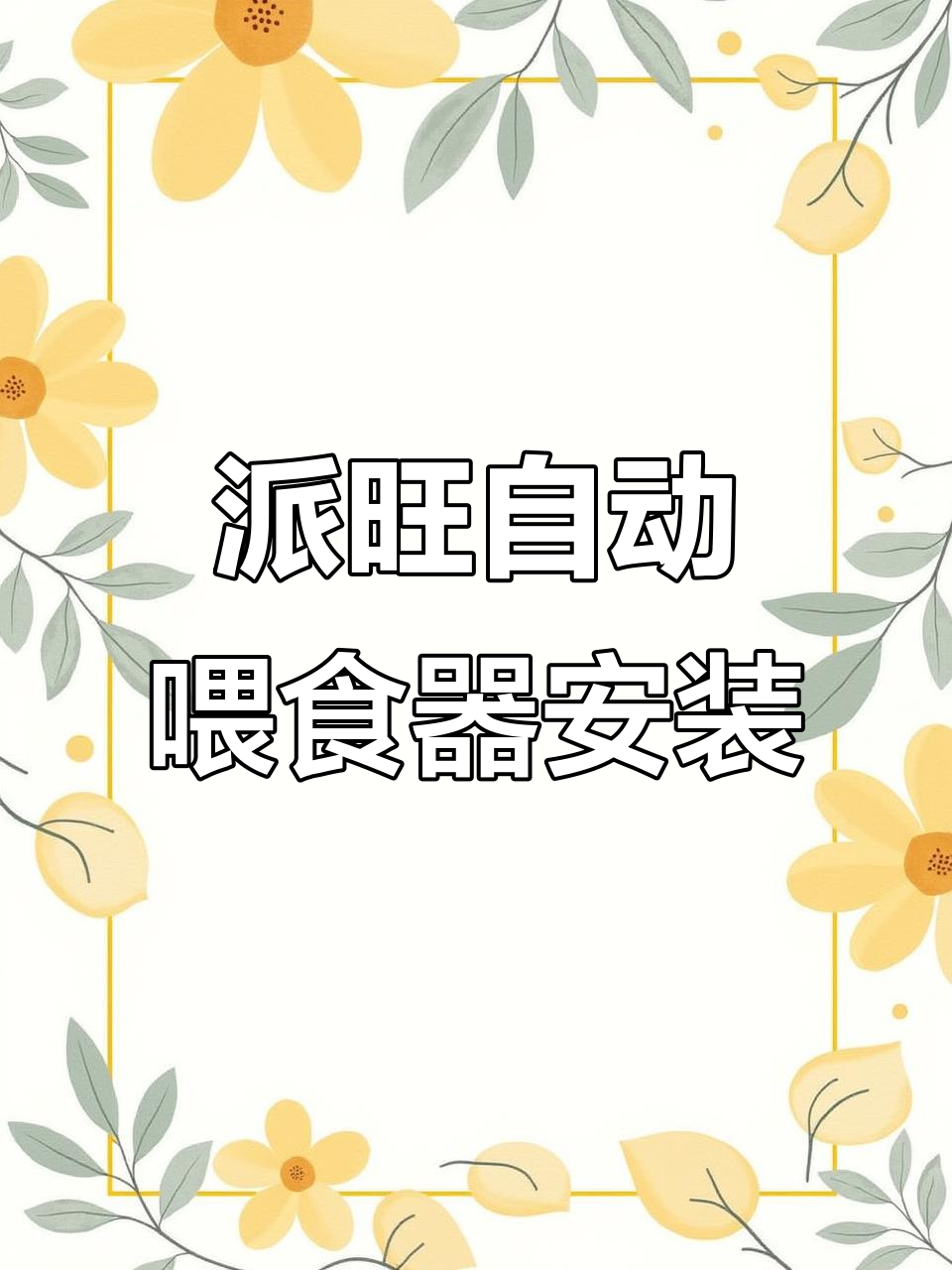 自动喂食器安装全流程,轻松搞定!
