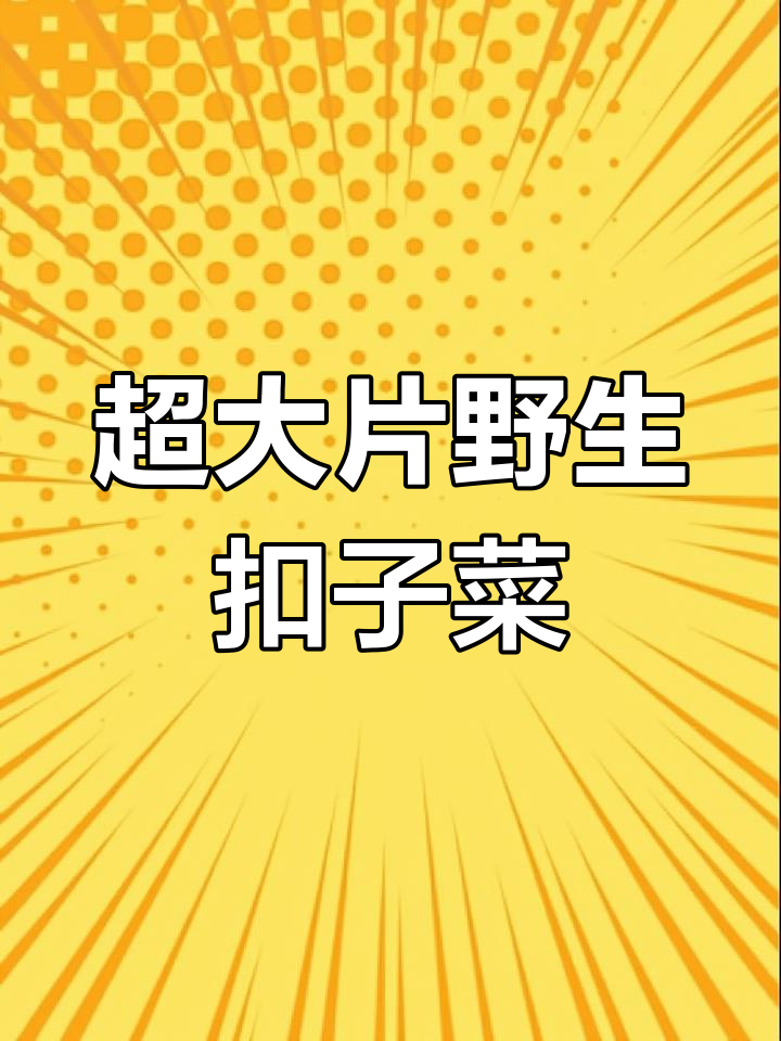 一大片野生扣子菜,嫩滑爽口,超满足!