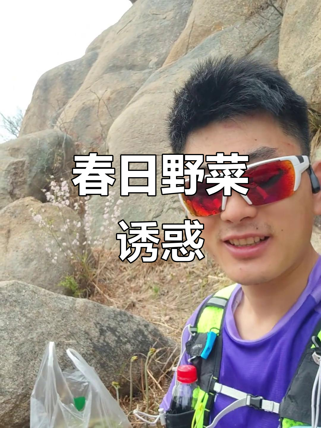 春天崂山野菜盛开,拳头菜的香气让人停不下脚步
