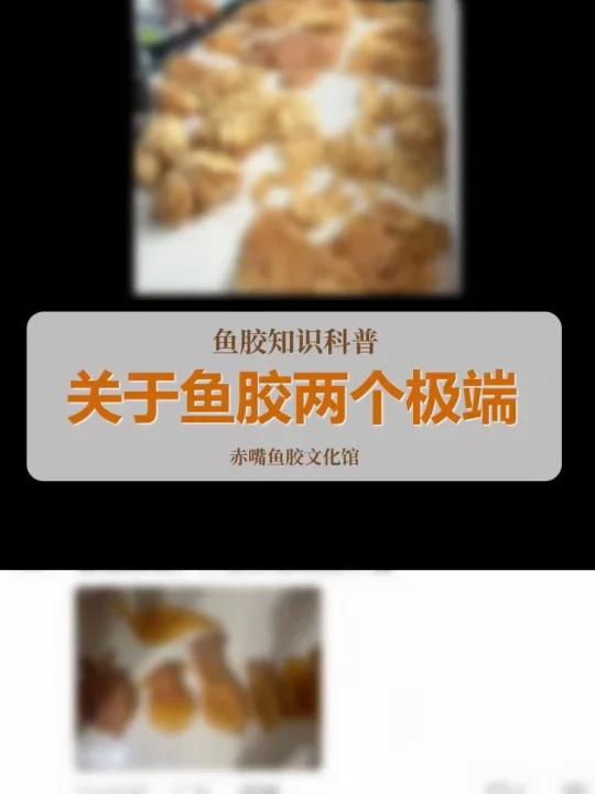 关于鱼胶的两个极端