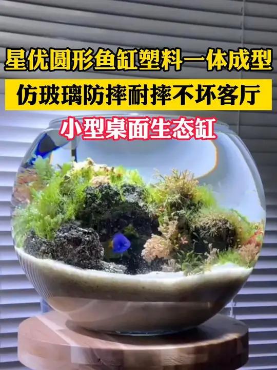 圆形鱼缸一体成型,防摔耐摔,客厅 小型桌面 生态缸