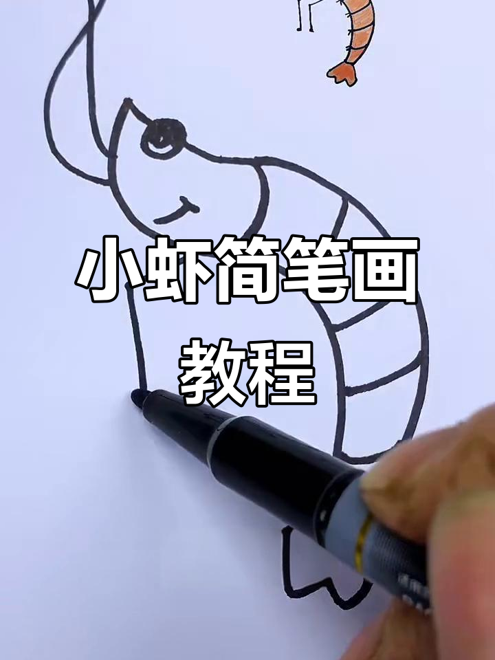 轻松学画小虾，简单步骤搞定！