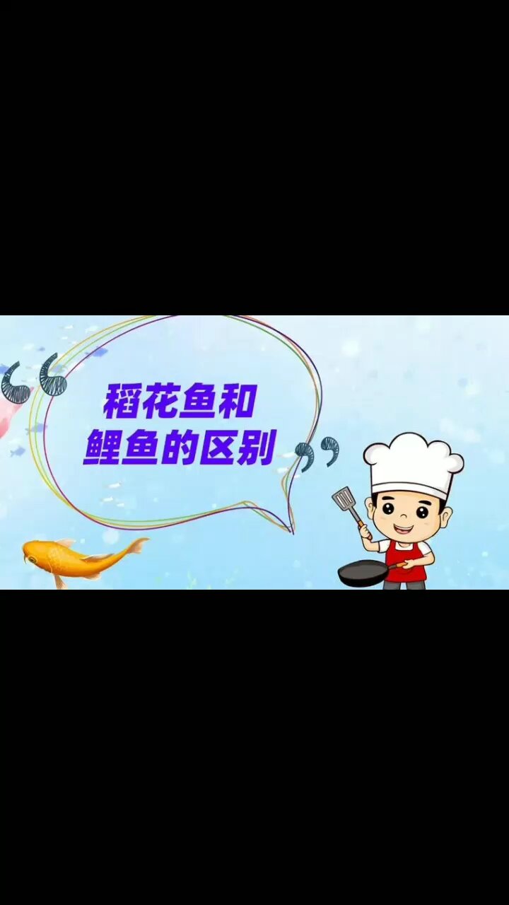 “稻花鱼”和鲤鱼