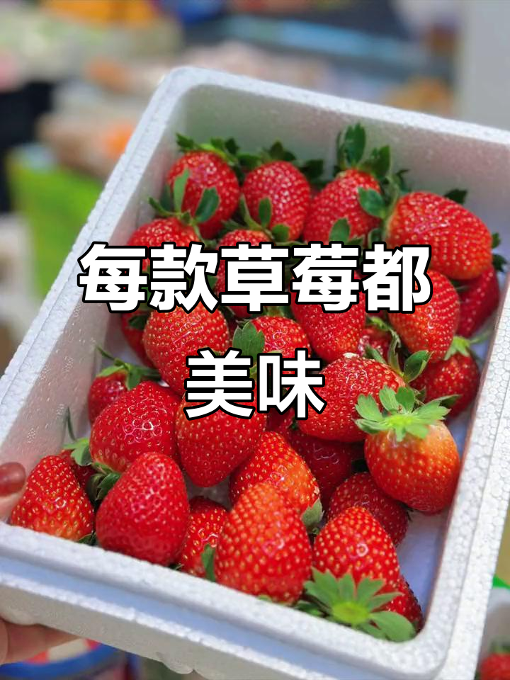 草莓品种大揭秘!每一款都超好吃,适合宝宝和孕妇