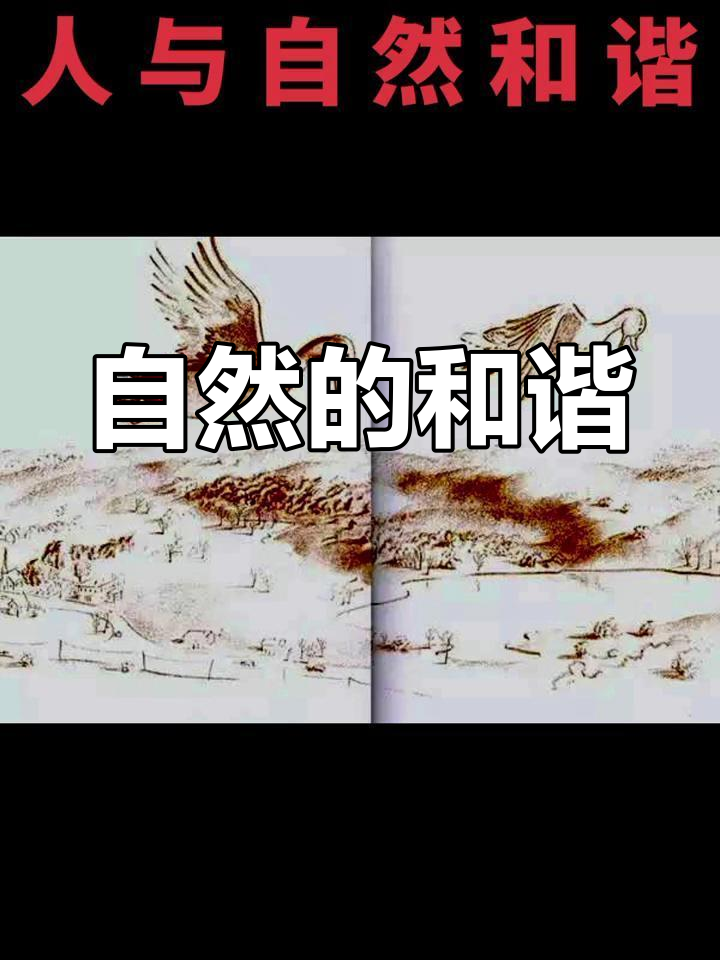 《让路给小鸭子》展现人与自然和谐共生的美好画面