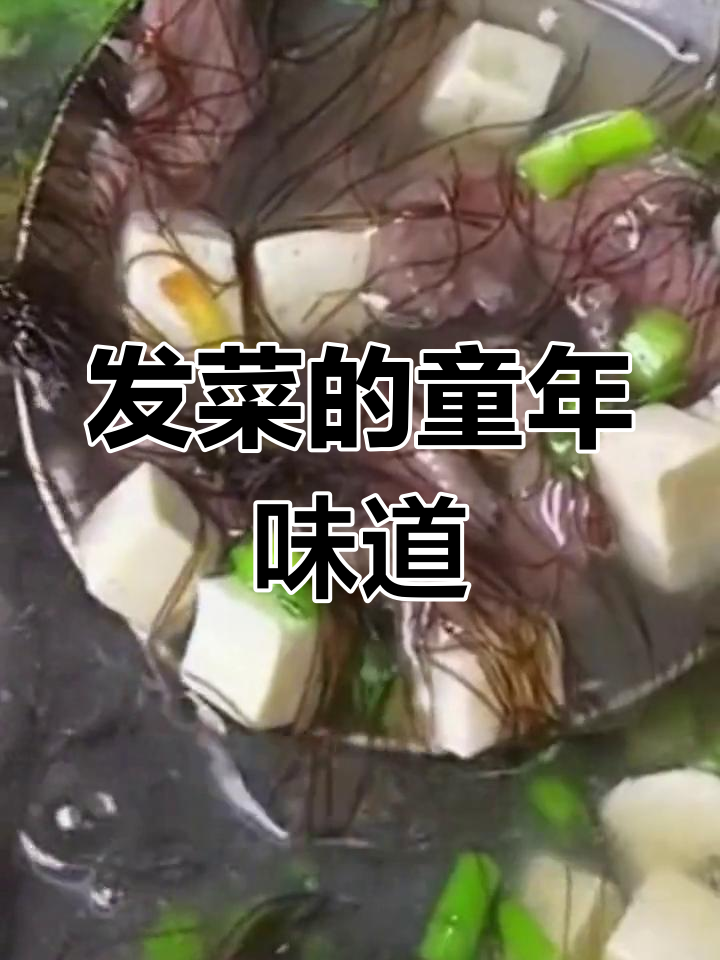 闽南发菜羹,嫩滑鲜美,回味无穷