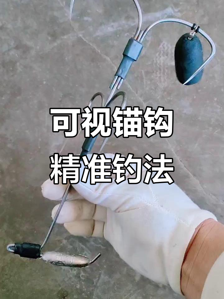 现代渔具新突破,可视锚钩助力精准钓鱼