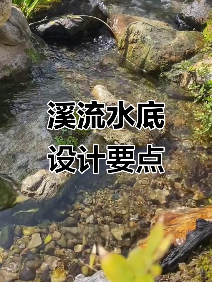 溪流鱼池设计与建造技巧,打造自然水景