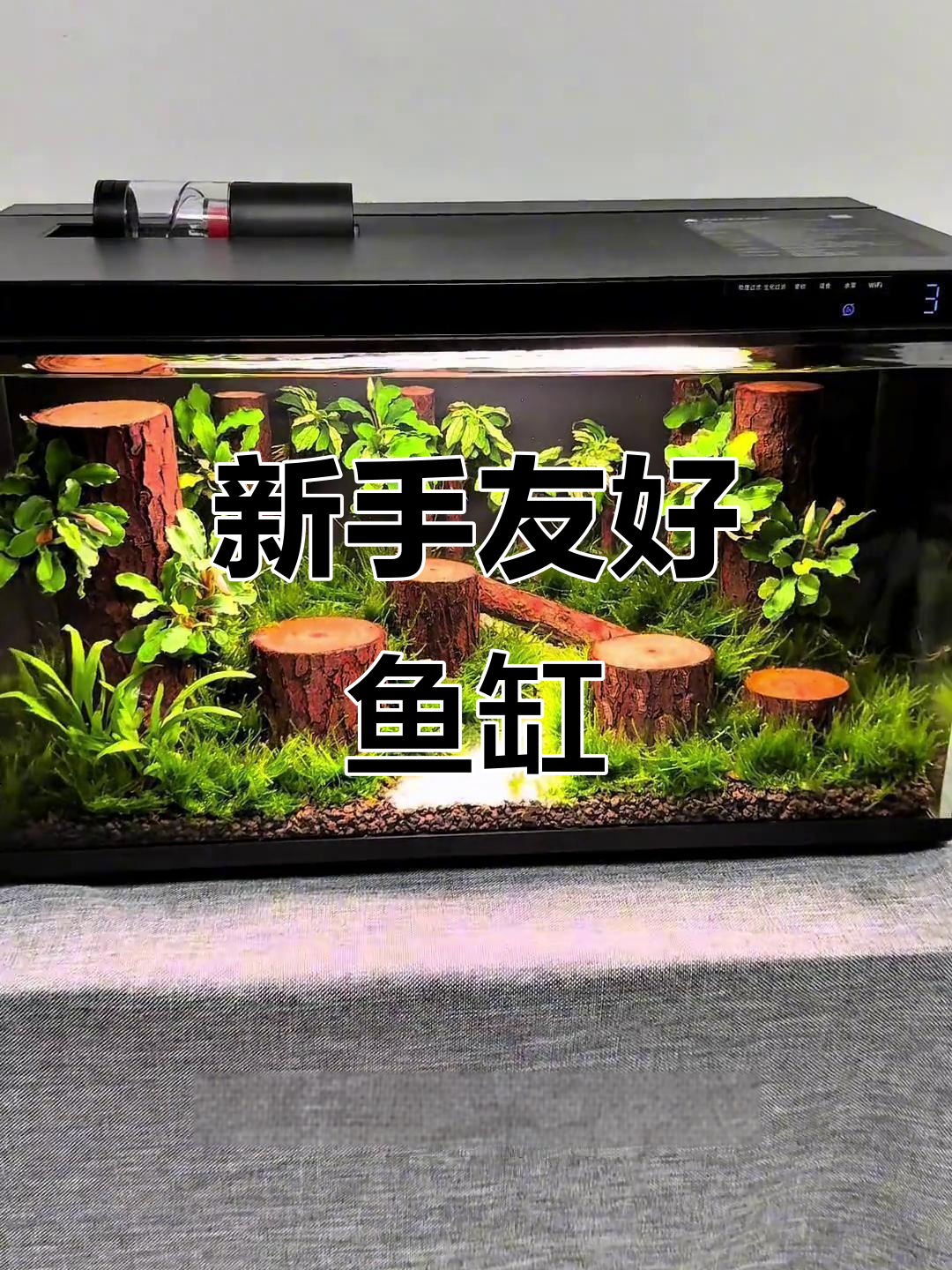 小米鱼缸，简单造景，适合新手，水草轻松养护！